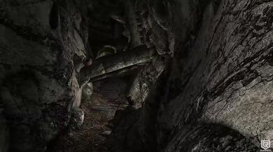 Lost Treasure Raiders