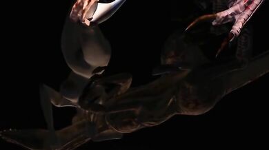 Insane 60FPS Reality Porn Experience: Is This Even Legal?!