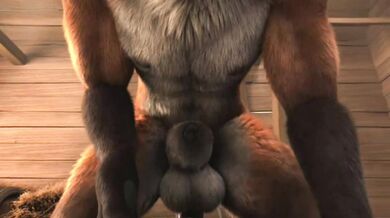 Pound that Pony's Ass (HMV)