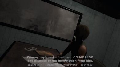 Tortured and defiled: Cammy's agonizing confession