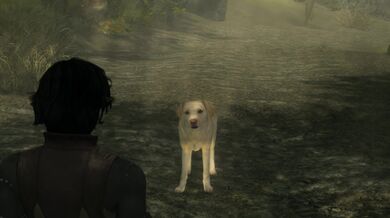 A Daedra's Best Friend Part 1: The Seduction of a Maiden