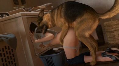 Paws & Claws: The Unlikely Pairing of a Dog Owner and a Dryer