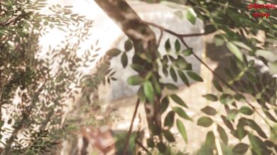 Forest Fuck Fest with Chris and Sheva [Something Different]