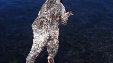 The Pied Piper of Riften