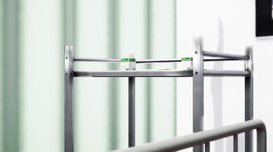 Bunny Babe's Intense Horniness for Massive Meat!