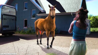 The Hentai Adventures of Temptress Mina, Episode 1: The Quest for Comfortable Creatures