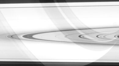 SCP Foundation [Extreme Restraints and Tor*ture]