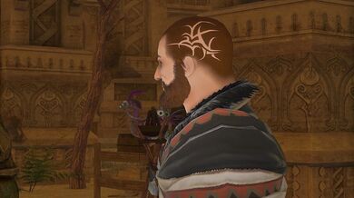 The Scarlet Sparring Session [XIVersK]