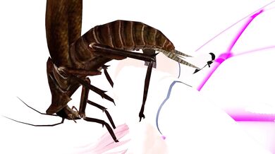 [CicadasAreCool] Lilia's Leisure Time