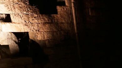 Beasts in Heat: A Tantalizing Preview of Animalistic Passion