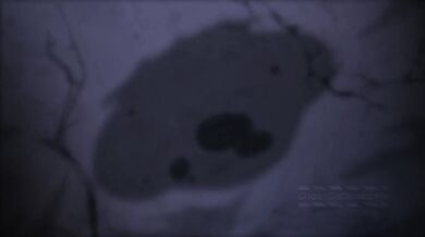 Sexy Shopkeeper Spreads Legs in Ghost Town While Dealing with Weirdos and Losers