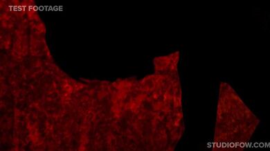 The Blizzard of Love