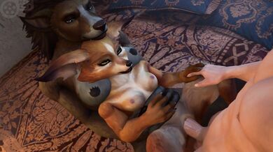 Interspecies Breeding with a Kinky Twist: The Fox and the Dog's Secret Experiment