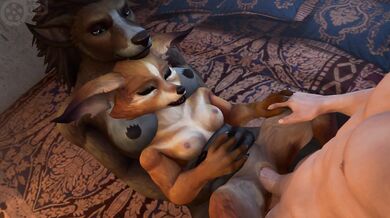 Interspecies Breeding with a Kinky Twist: The Fox and the Dog's Secret Experiment
