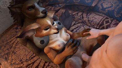 Interspecies Breeding with a Kinky Twist: The Fox and the Dog's Secret Experiment