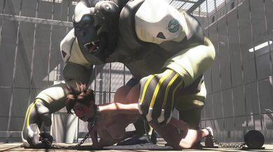 Tracing The Wilderness With An Orangutan (Part 1)