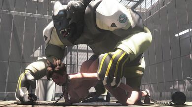 Tracing The Wilderness With An Orangutan (Part 1)