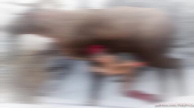 Tender Reindeer Love: A Christmas Miracle