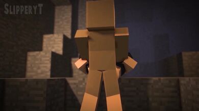 RandoRandy's Slippery T Minecraft Porn Video