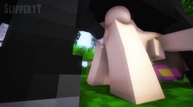 RandoRandy's Slippery T Minecraft Porn Video