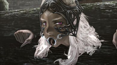 For*ced to Serve 2 Stray Dogs: Fran's Tail-Wagging Adventure with Eshu