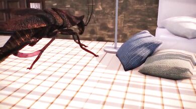 Delightful Bug Bonanza