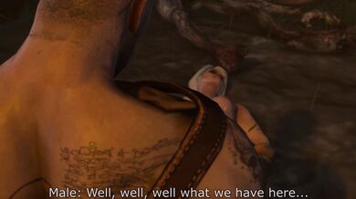 Ciri's Rough and Tumble with the Woodland Creatures [NSFW]