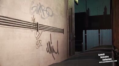 - Black Canary's Anal Mystery Case