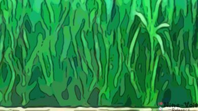 Twin Temptation Twin Torment Twin Torment Twin Twisters Twin Twisters Twin TycoonsPlusle and Minun crave a trainers sexual organ Twin Tycoons