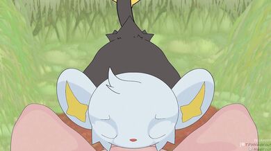 Fucking Shinx
