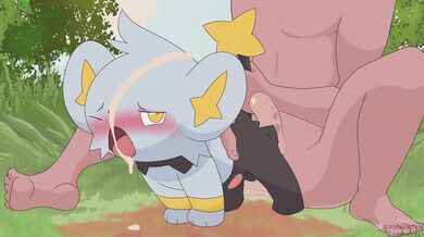 Fucking Shinx