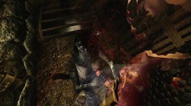 Young Khajiit Gives Zombie Erotic Relief