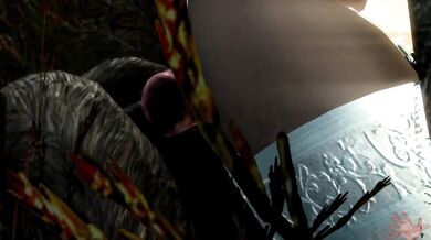 Afternoon Delight with the Neighbor's Dog and Cat (Episode 2)