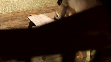 Unleashing her inner beast: Liza Snow's barnyard adventure