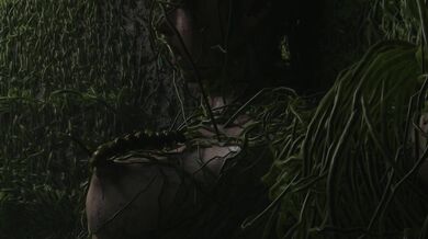 Slutty Claire's Alien Impregnation: Breeding with Parasites