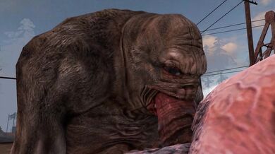 Deep Inside the Stacks with Librarian CastusHeoc