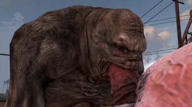 Deep Inside the Stacks with Librarian CastusHeoc