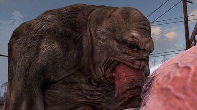 Deep Inside the Stacks with Librarian CastusHeoc