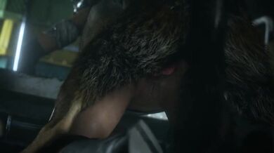 Jill's Doggie Style [big dick]