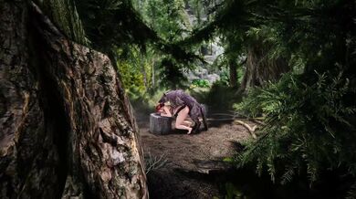 Wolf Breeding with Triss Merigold