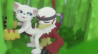 Gatomon and Hawkmon's Erotic Encounter
