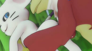 Gatomon and Hawkmon's Erotic Encounter
