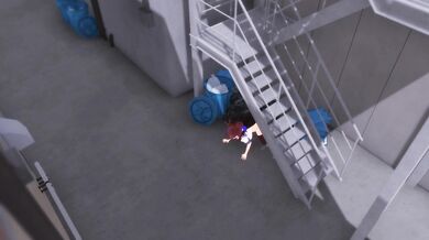 Hikari Dog view 2 could be rewritten as The Light of the Puppy's Eyes II.