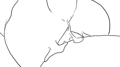 Pussy-licking Kitty slut fucks hard with her dripping wet cunt [Dragonweirdo]