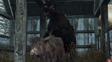 5 Inches of Stiff Dick in My Ass: A Dance Dance Party Pt 02