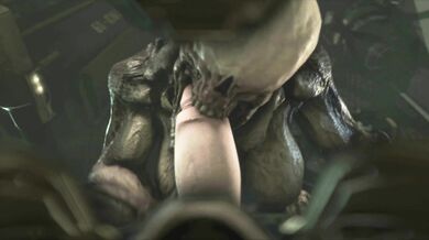 Destructive Demonesses Conquer on HMV