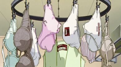 Eva Unit-01's Hot Milf Named Misato, Penetrates Your Virginal Boundaries in this Hardcore Parody