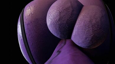 I'm Selena Taker And I'll Give You a Moogan You Won't Forget