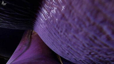 I'm Selena Taker And I'll Give You a Moogan You Won't Forget