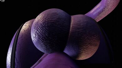 I'm Selena Taker And I'll Give You a Moogan You Won't Forget